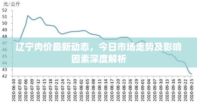 辽宁肉价最新动态，今日市场走势及影响因素深度解析