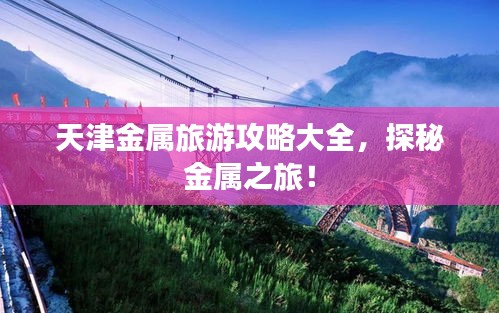 天津金属旅游攻略大全，探秘金属之旅！