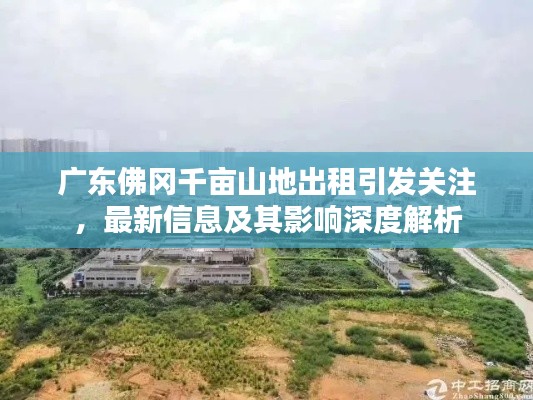 广东佛冈千亩山地出租引发关注，最新信息及其影响深度解析