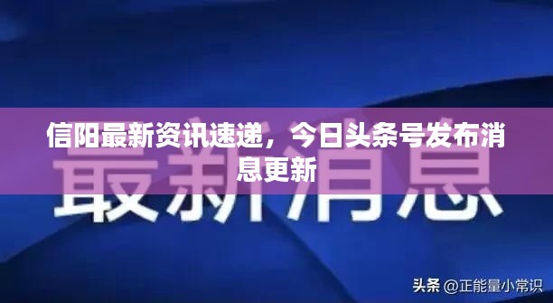 信阳最新资讯速递，今日头条号发布消息更新