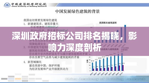深圳政府招标公司排名揭晓，影响力深度剖析