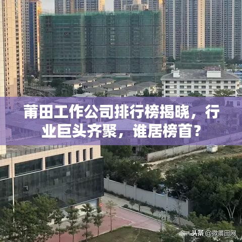 莆田工作公司排行榜揭晓，行业巨头齐聚，谁居榜首？
