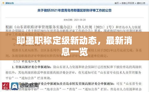 即墨职称定级新动态，最新消息一览