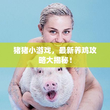 猪猪小游戏，最新养鸡攻略大揭秘！