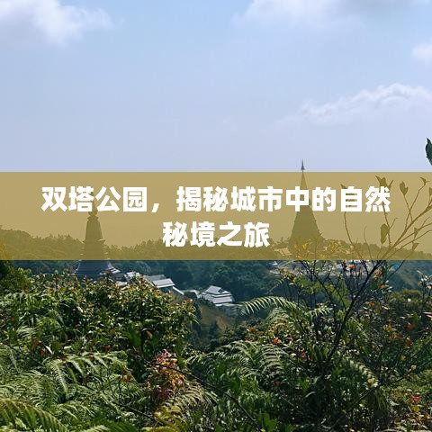 双塔公园，揭秘城市中的自然秘境之旅