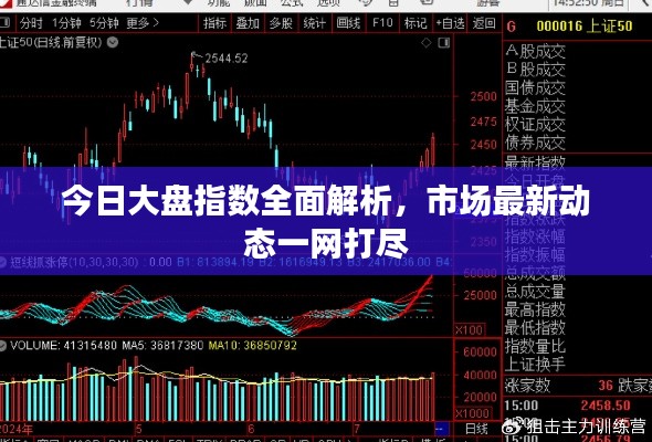 今日大盘指数全面解析，市场最新动态一网打尽