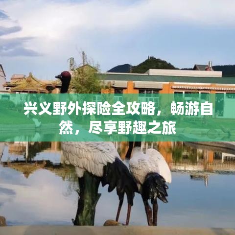 兴义野外探险全攻略，畅游自然，尽享野趣之旅