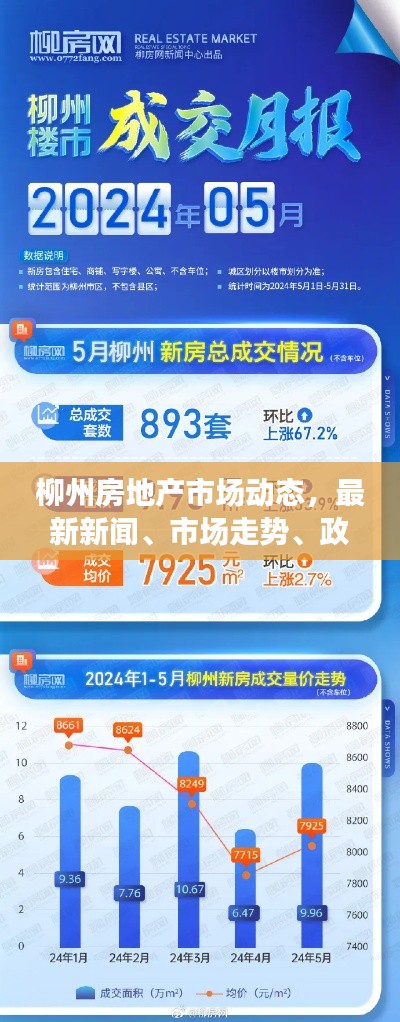 柳州房地产市场动态，最新新闻、市场走势、政策调控与未来展望