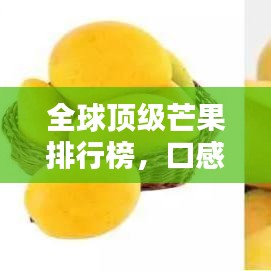全球顶级芒果排行榜，口感绝佳的芒果品种大比拼！