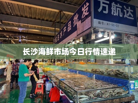 长沙海鲜市场今日行情速递