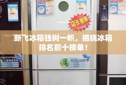 新飞冰箱独树一帜，揭晓冰箱排名前十榜单！
