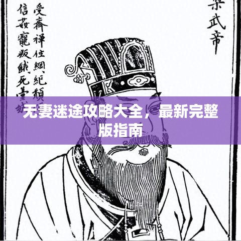 无妻迷途攻略大全，最新完整版指南