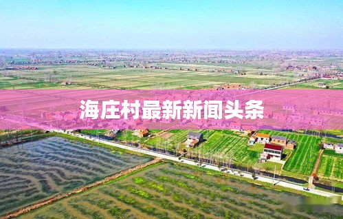 海庄村最新新闻头条