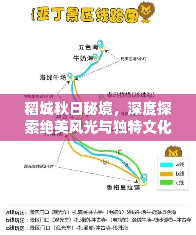 稻城秋日秘境，深度探索绝美风光与独特文化体验攻略