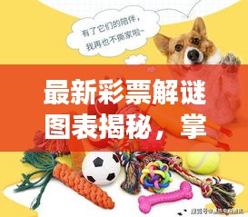 最新彩票解谜图表揭秘，掌握动态，洞悉迷局，赢取大奖的机会来了！