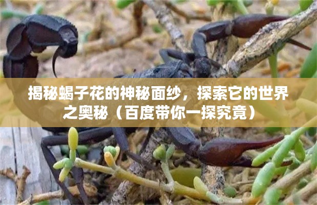 揭秘蝎子花的神秘面纱，探索它的世界之奥秘（百度带你一探究竟）