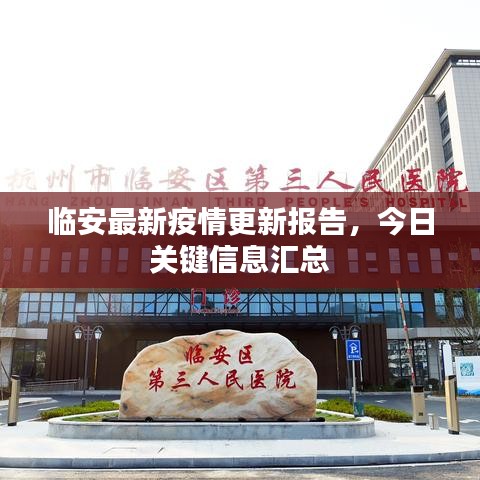 临安最新疫情更新报告，今日关键信息汇总