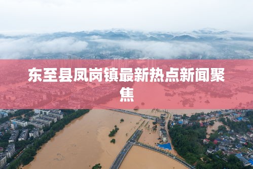 东至县凤岗镇最新热点新闻聚焦