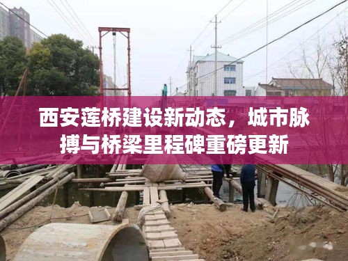 西安莲桥建设新动态，城市脉搏与桥梁里程碑重磅更新