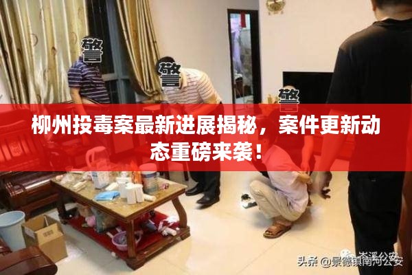 柳州投毒案最新进展揭秘，案件更新动态重磅来袭！