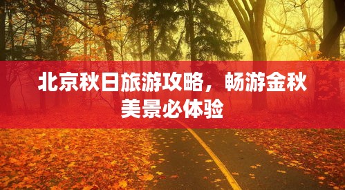北京秋日旅游攻略，畅游金秋美景必体验
