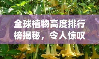 2025年6月26日