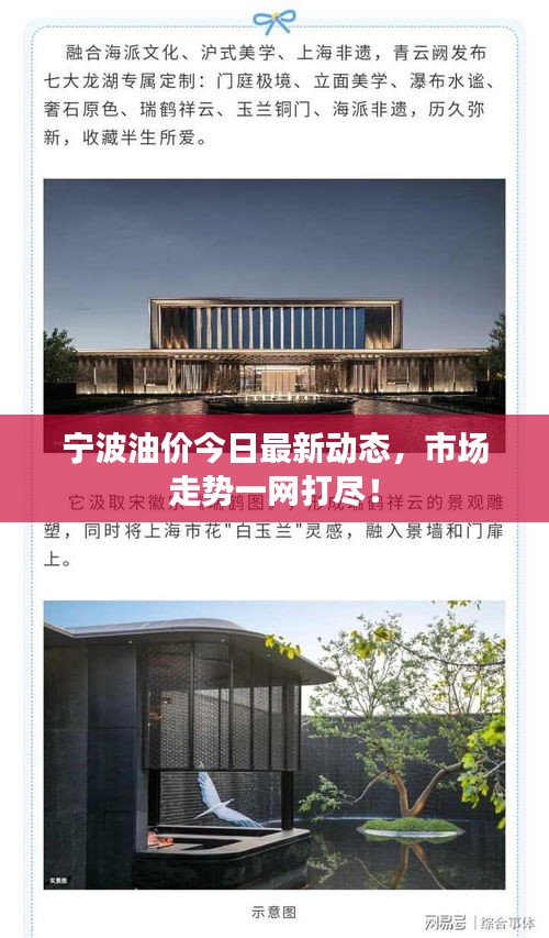 宁波油价今日最新动态，市场走势一网打尽！