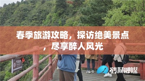 春季旅游攻略，探访绝美景点，尽享醉人风光