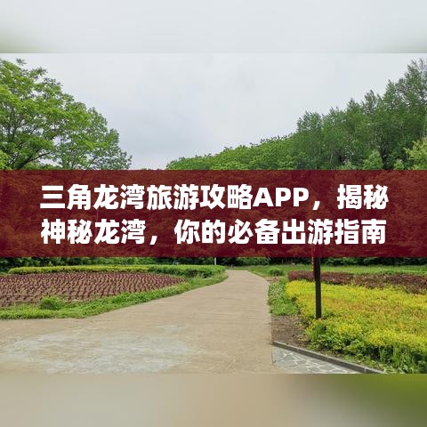 三角龙湾旅游攻略APP，揭秘神秘龙湾，你的必备出游指南