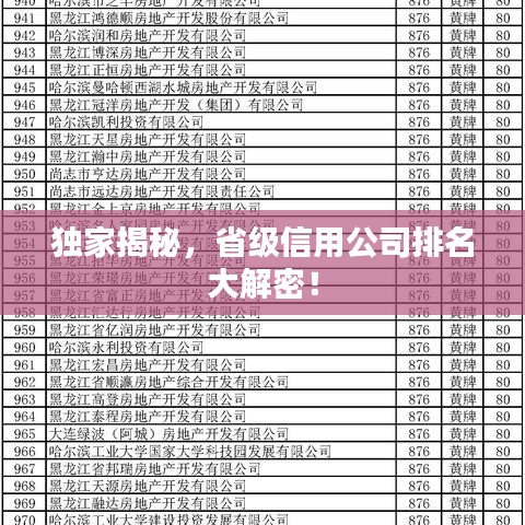 独家揭秘，省级信用公司排名大解密！