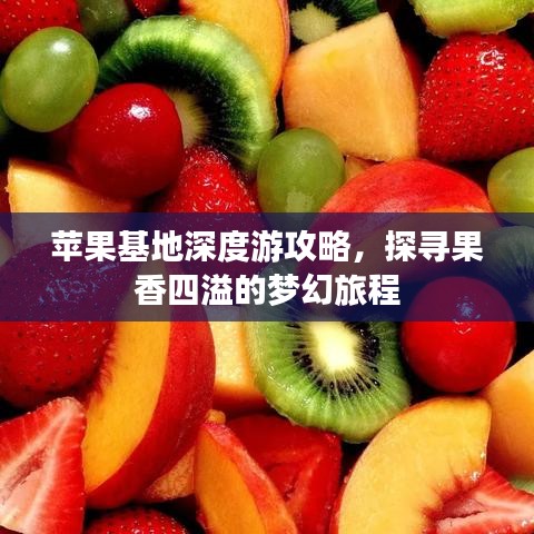 苹果基地深度游攻略，探寻果香四溢的梦幻旅程