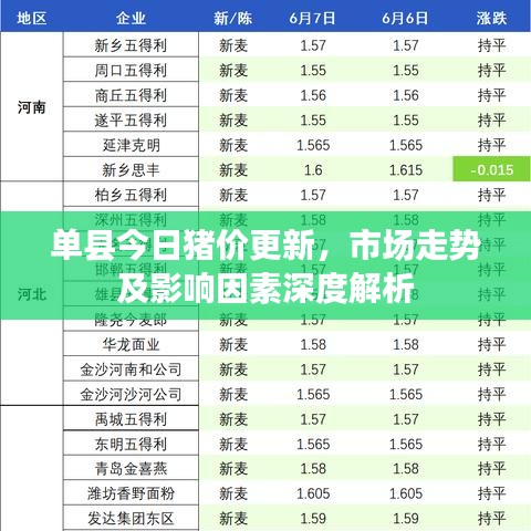 单县今日猪价更新，市场走势及影响因素深度解析